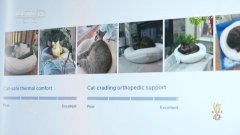 核心|跨境电商“加快跑” 点燃外贸成长“新引